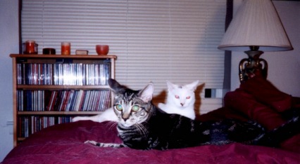 Purrcy and me on the bed