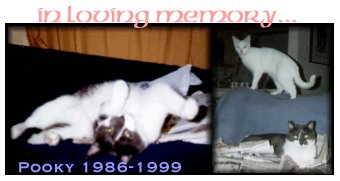 in memory of Pooky