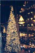 Wilderness Lodge Christmas tree