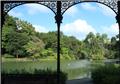 Singapore Botanic Garden: Swan Lake, viewed from Swan Lake Gazebo