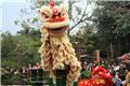 "Lion Dance"