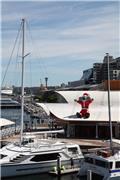 Inflatable Koala atop Wild Life Sydney
