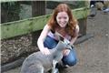 Featherdale Wildlife Park: petting a kangaroo
