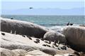 Boulders Beach