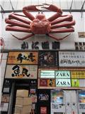 Shinjuku- the crab moved