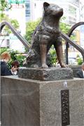 Hachiko statue in front of Shibuya station
