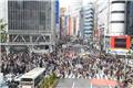 Shibuya Crossing