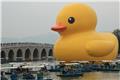 Summer Palace: Rubber Ducky and Seventeen Arch Bridge