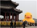 Rubber ducky juxtaposed against Summer Palace buildings