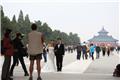 Temple of Heaven: Wedding photo shoot