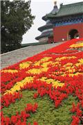 Temple of Heaven