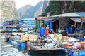 Cua Van fishing village