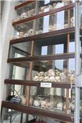 Choeung Ek Genocidal Center- Memorial Stupa