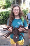Julia bought a plush spider