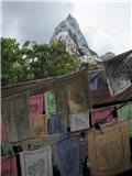 Expedition Everest queue
