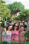 Animal Kingdom