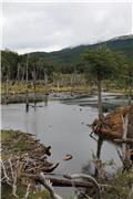 Tierra del Fuego National Park