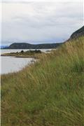 Tierra del Fuego National Park