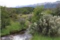 Tierra del Fuego National Park