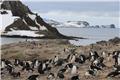 Aitcho Islands penguins and panorama