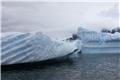 Zodiac tour of icebergs by Cuverville Island