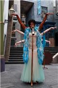 Celestina Warbeck and the Banshees