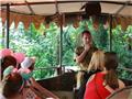Jungle Cruise