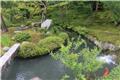 Tenry&#363;-ji garden