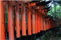 Fushimi Inari