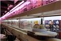 Conveyer belt sushi restaurant