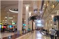 Dubai airport baggage claim