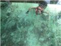 Kristin snorkeling under our bungalow
