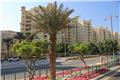 Palm Jumeirah