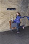 Platform 9 3/4 souvenir photo