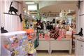 Shopping in Umeda- Neko Mart