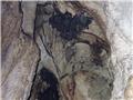 Bat caves