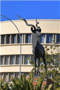 Kudu Statue