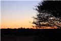 African Sunset