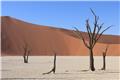 Deadvlei