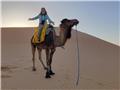 Morning camel ride