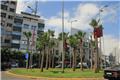 Roundabout in Casablanca