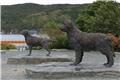 Statues of Newfoundland & Labrador dogs