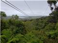 View of zipline #2