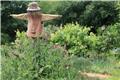 Scarecrow