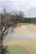 Wai-O-Tapu: Artist's Palette