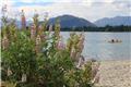 Lake Wanaka