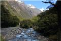 En route to Milford Sound