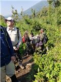 Gorilla trek