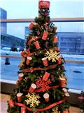 Trim-A-Tree for Charity decorated by Tim Hortons