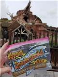 Splash Mountain Ziploc bag